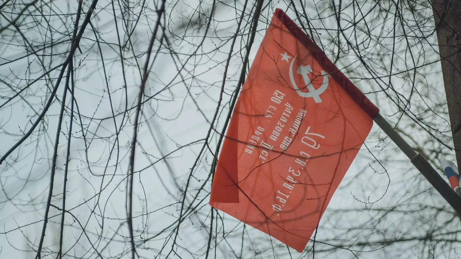 Иностранцы дивятся обилию флагов разных эпох в Волгограде